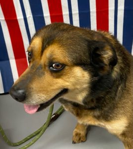 Mister WLKM Radio 95.9 FM